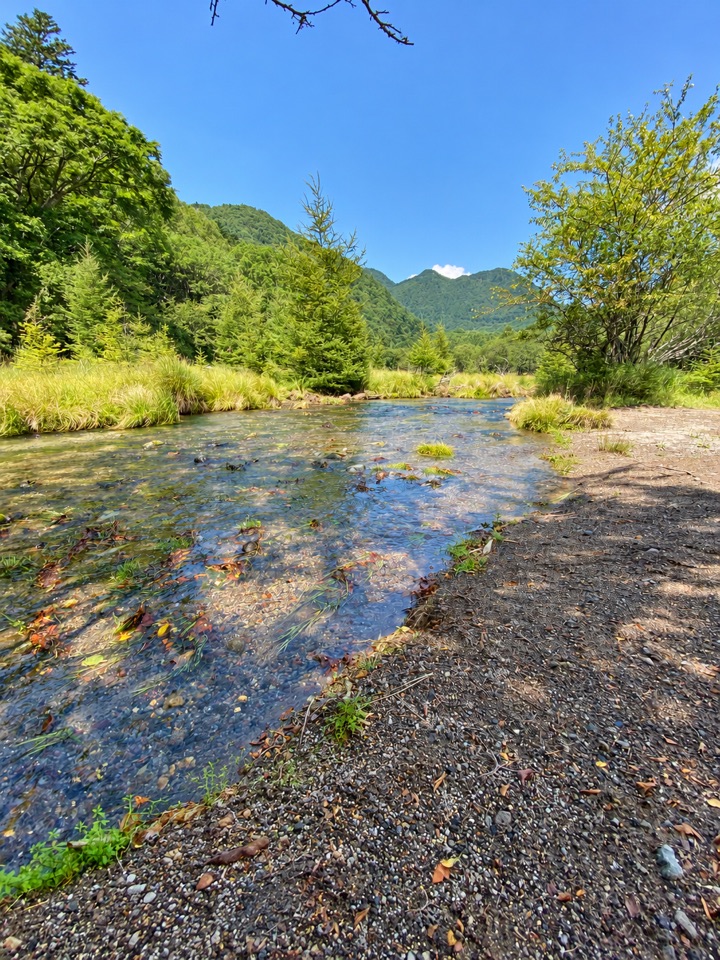 新緑の山々と木々に囲まれた、日差しの明るい川辺の景色